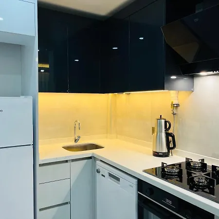 6 Centrally Located Spacious And Air Conditioned 1 1 Apartment *