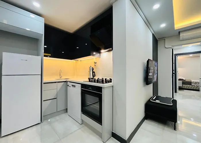 6 Centrally Located Spacious And Air Conditioned 1 1 Appartement Antalya