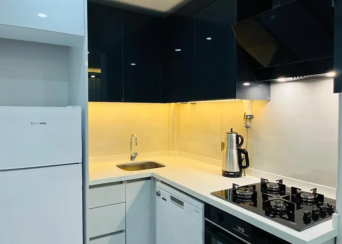 6 Centrally Located Spacious And Air Conditioned 1 1 Apartment *